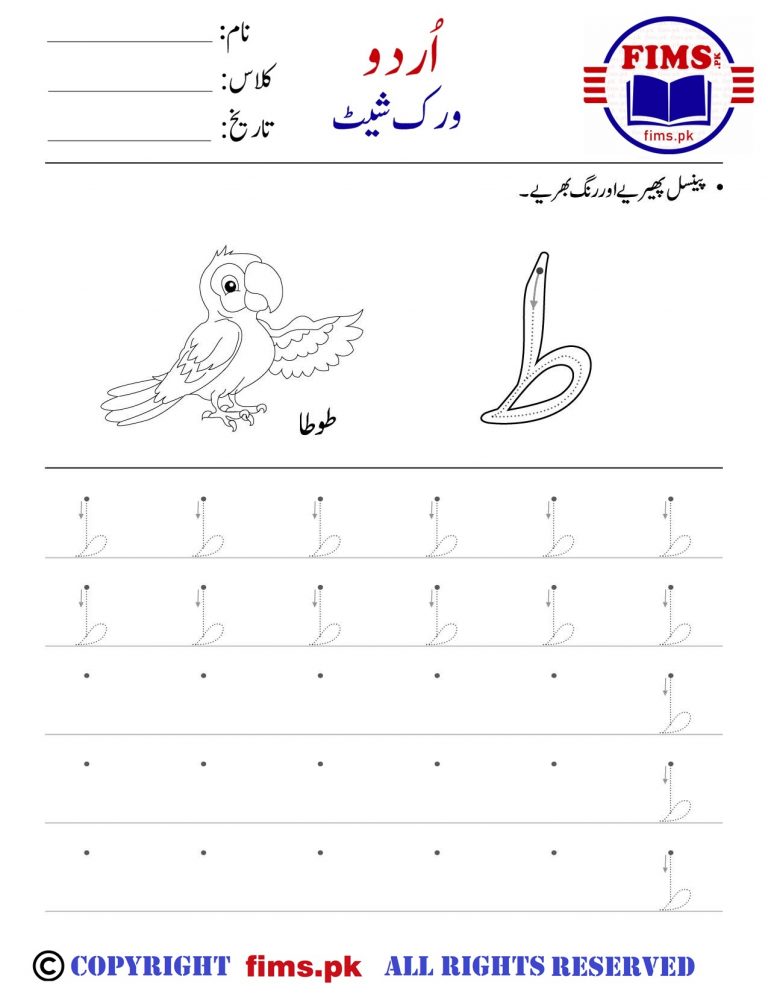 Rich Results on Google's SERP when searching for "urdu toa worksheet"