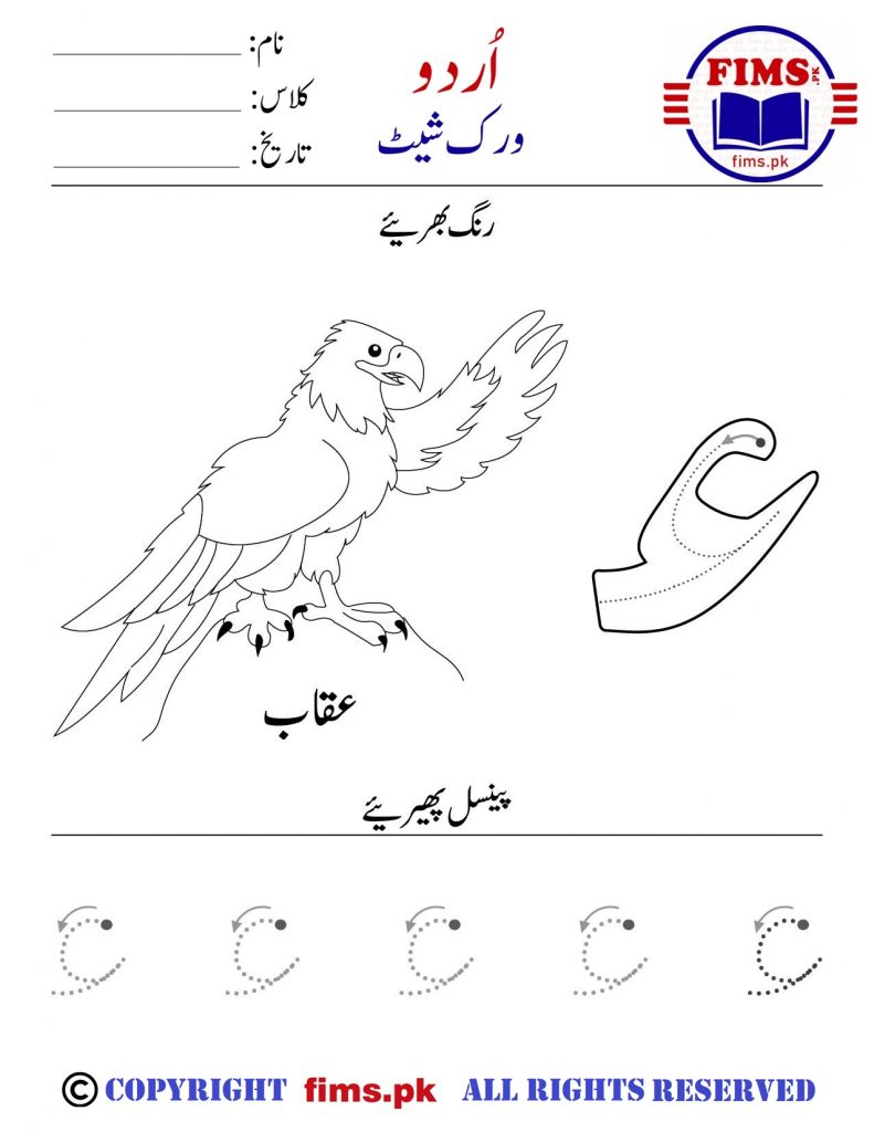 Rich Results on Google's SERP when searching for "aeen urdu worksheet"